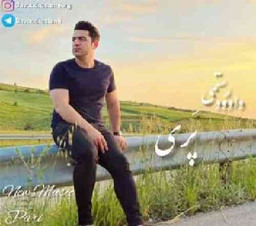 داوود رستمی پری